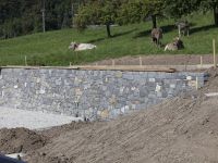CB ZH Oberland Gartenbau20090221 0006 neu